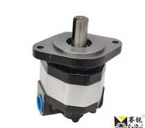 CB-Fc16 20 25 32 40 40 pump CB-FC16 CB-FC20 CB-FC25 CB-FC32
