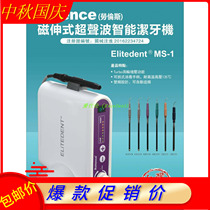 Taiwan imported magnetic telescopic painless dental cleaning machine periodontal machine ultrasonic tooth washer working tip pet dental medical