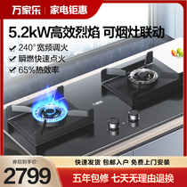 Home Kitchen Natural Gas Twin Cooktop Official Flagship Store for Home Kitchen Natural Gas with the J5 J5 Raptors under WanjiaMusic Line