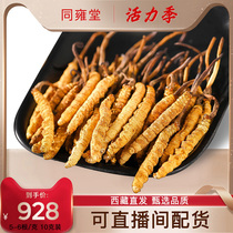 (Affordable for self-use)First-period dry Cordyceps flagship store Dry 5-6 grams 10 grams of SF