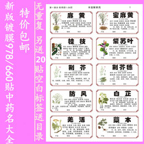 Chinese medicine label stickers color new version of self-adhesive specification coating 978 660 stickers herbal medicine name stickers