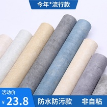 Nordic style plain plain color wallpaper Living Room restaurant hotel clothing store simple dark gray diatom mud pattern wallpaper