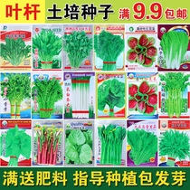 Vegetable seeds Balcony vegetables Soil culture cabbage Celery coriander chrysanthemum Red amaranth Fungus Green onion Shepherds purse Shepherds purse