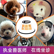 Pet Elizabeth circle cat and dog skin disease protective cover dog and cat anti-scratch collar anti-bite anti-licking ring shame cover