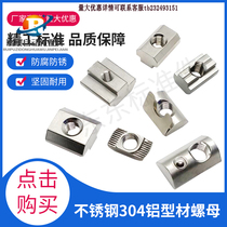 Aluminium profile stainless steel 304T type nut slider elastic steel ball single point shrapnel European label M3M4M5M6M8