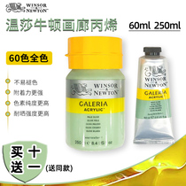 Windsor Newton Gallery Acrylic Paint Single 60ml 250ml Hand Painted Painted Wall Painted DIY Nail