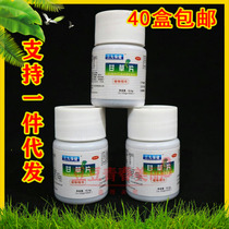 Gangrass sheet 100 slices of gandry grass to moisturize the throat non-compound