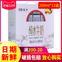 Date fresh) Gui buffalo water milk pure water milk Nutritional Breakfast milk Buffalo milk 200ml * 12 Box whole box zq