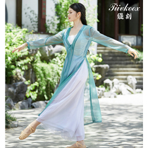 Classical dance practice clothes female Chinese ancient style elegant long outer gauze clothes wide leg pants National table performance set