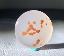 Liangshan Nanhong Ice Floating mood Aquatic Flower Round Brand Pendant Size 29 5 × 12 Weight 17 grams