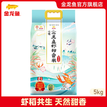 Golden dragon fish shrimp sweet fragrant rice 10kg long grain fragrant southern rice silk rice ecological fragrant rice