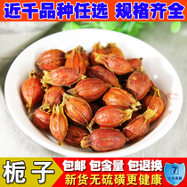 Selected Chinese Medicines Wild Gardenia Selected Large Grain Branches Powder Yellow Gardenia Red Gardenia Mountain Gardenia 500g