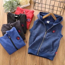 Boys hooded vest children 2020 Spring and Autumn new products Zhongdang cotton coat plus velvet casual hooded coat