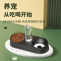 Cat Bowl Dog Bowl Cat Food Basin Dog Basin Double Bowl Cat Food Bowl Cat Food Bowl Cat water dispenser Pets Automatic feeding Drinking Water Drink