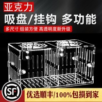 Fish Tank Isolation Box Small Fish Breeding Nest Fish Fry Incubators Ornamental Shrimp Isolation Box Multifunction Acrylic Hatching Box