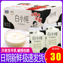 Junlebao White small pure 180ml * 12 original pure milk Net Red student milk children nutrition breakfast milk bag box