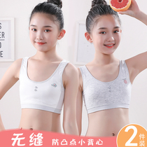 Small vest during development Female student girl underwear Big child 9-12 girl primary school junior high school student 16-year-old girl bra