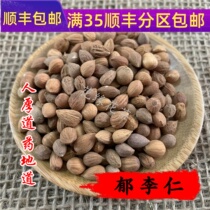 Tongrentang quality Chinese herbal medicine Yu Liren Yu Liren 50g can be powdered without sulfur smoked full