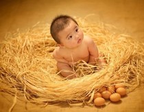 2020 new children Photographic clothing props for photo baby 100 days small chicken wood eggs European and American Laffergrass