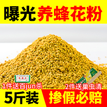 Pollen feeding beekeeping bees bees bees special tools Bee grains pollen pulp bees 5kg