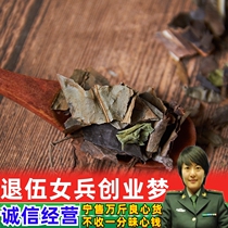 Swelling wind grass coral Chinese herbal medicine wild 500g nine-section wind elderberry nine-section Chinese herbal medicine