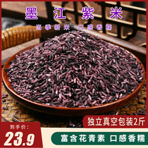 Yunnan specialty purple rice New rice Purple glutinous rice Whole grain blood glutinous rice breakfast porridge rice five grains meal replacement rice ball 2 pounds