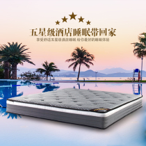 Germany Lufu mattress Simmons five-star hotel natural latex mattress deep sleep H301