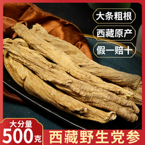 Tibet native wild codonopsis large strip coarse root codonopsis 500g can be matched with astragalus Angelica soak water soup