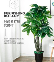  Green plant potted fortune tree bonsai decoration Indoor lucky living room simulation decoration Plastic plant anti-real flower large