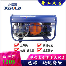 Small Solid Brother House Gas Pump Silent Air Compressor Small High Pressure Spray Painting 220V Wood Furnishing Air Compressor