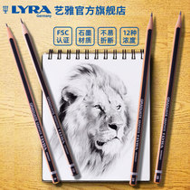 LYRA Art Yya Official Flagship Store Charcoal Drawing Sketching Pencil F-6B Beginner Students Drawing Pencil Professional Adult Sketching Sketching Speed Writing Fine Art Supplies Tools Sketch Pen 12 boxed