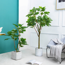 Fig fake tree plant living room Nordic large potted floor furnishings shop window interior landscape simulation green plant