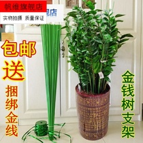 Money tree support plant Orchid pillar Fine thick green wire bracket Climbing vine gardening Rich tree plant
