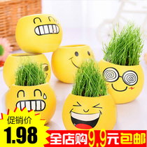 Grass head doll small potted grass mini plant Easy live micro landscape Creative long grass expression grass Seed grass lawn