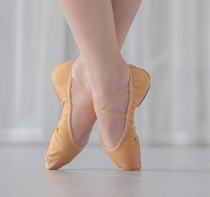 Belly dance shoes practice shoes beginner yoga shoes non-slip cat claw elastic soft-soled dance ballet shoes canvas shoes