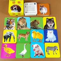 Animal cards cant tear up early education cards childrens recognition picture books books childrens Enlightenment card animal world 0-3 years old puzzle color picture visual big card baby early education books baby cognition Chinese and English