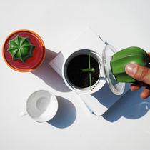 Thai original Quy creative table Seasoning Bottle Seasoning Jar Mini Cactus Tea Leaf Jars With Small Spoon Tea Box
