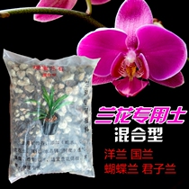 Mixed Orchid Orchid Creed Orchid Creed Orangide Creed Orange Tree Material Green Pastel