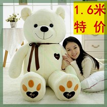 Plush Teddy Bear Cat Paparazzi 1 6 m Cloth Dolls Big Holding Bear 1 m 8 Plush Toy Bear Gifts Girls Day Gifts
