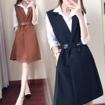 Fashion foreign style suit skirt womens 2021 spring and autumn new professional casual temperament small fragrant wind vest two-piece set