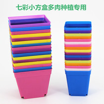  Seven-color new small black square color square succulent plastic flower pot small square plate succulent plant pot color nursery pot