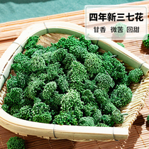 The efficacy of Wenshan Sanqi Flower Tea in 2020 Yunnan premium wild four-year-old Tianqi Flower bulk 250g