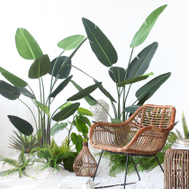  Simulation plant traveler banana turtle back leaf fake tree Indoor large floor-to-ceiling green plant home living room decoration shop landscaping