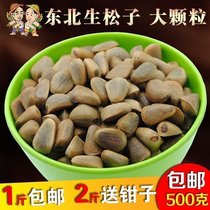  Northeast original raw pine nuts 2020 new fresh unprocessed big red pine nuts pregnant women nuts 500g