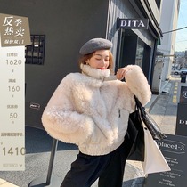 CC fur handsome stand-up collar small short fur coat female import Mona wool fur one-piece coat