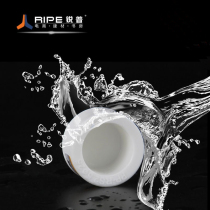 Ruipu thickened PPR water pipe fittings 20 25 32ppr plug cap hot melt pipe cap joint plug