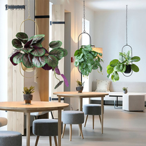 Roman Mom Indoor Air Hanging Accessories Simulation Plant Mall Hanging Hanging Hanging Accessories store Soft Decorations Decoration