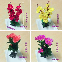 Jing creative embellishment flower edge sushi plate decoration small ornaments hotel dishes cold dish plate SAB decoration flowers and plants