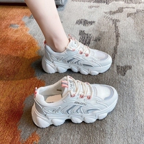 Ocean Gas Old Daddy Shoes Women Tide Ins Cool 2021 Ocean Air Spring Summer New Thick Bottom Breathable Heightening Net Red Fried Street