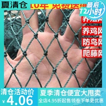  100 meters poultry chicken net chicken net breeding net vegetable garden net fence net pheasant net anti-chicken net nylon net